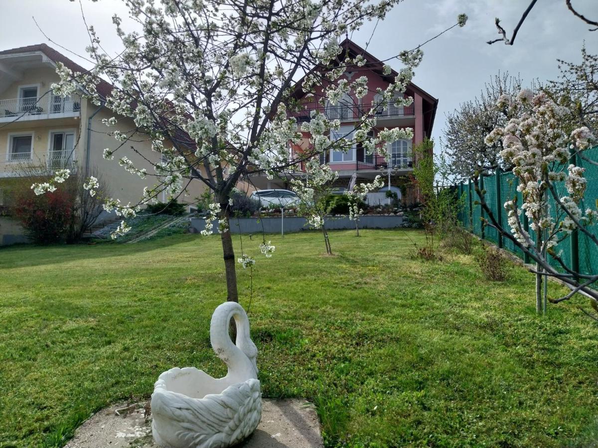 Manor Villa Heviz Bagian luar foto