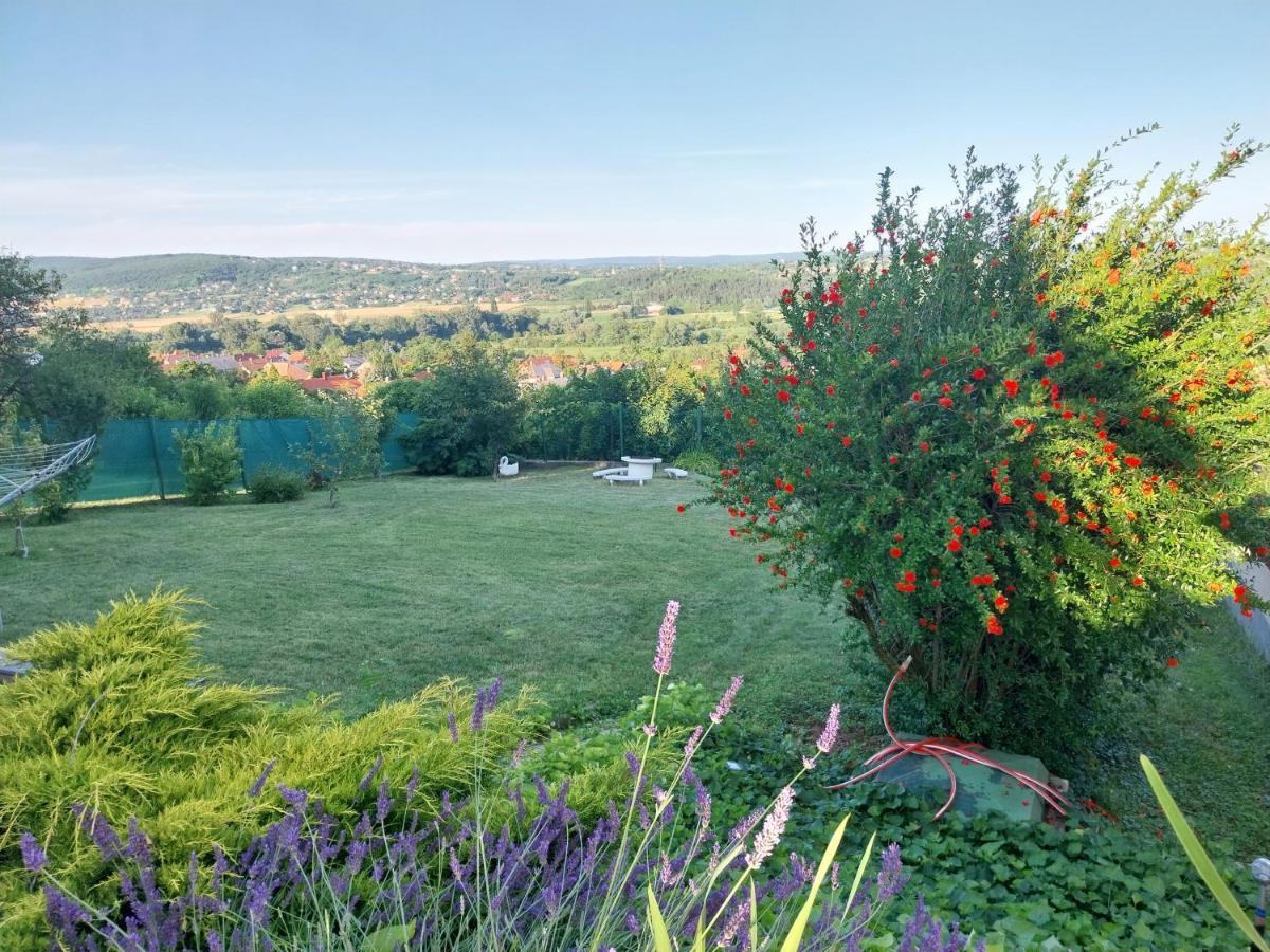 Manor Villa Heviz Bagian luar foto